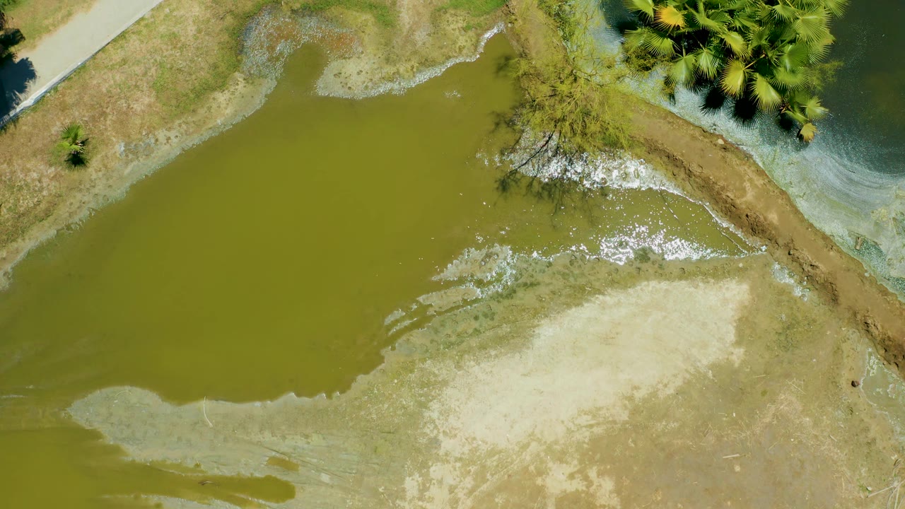 San Jose Del Cabo Estuary seen from above with the green waterline curving around exposed mud, denser vegetation at the upper right, and no visible people.