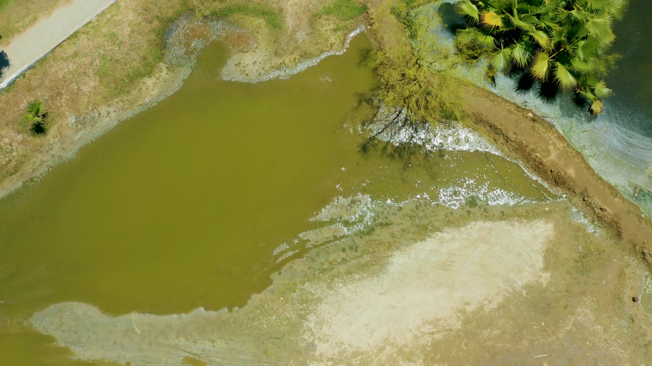 Top-down view of wetland water and receding muddy shoreline.