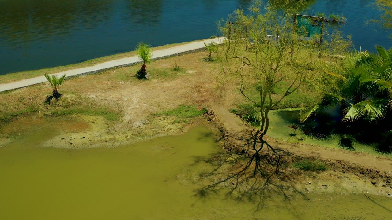 Opening frame of the San Jose Del Cabo Estuary with green shallow water in front, exposed muddy shore, a narrow path, small palms, riverside trees, and no visible people.