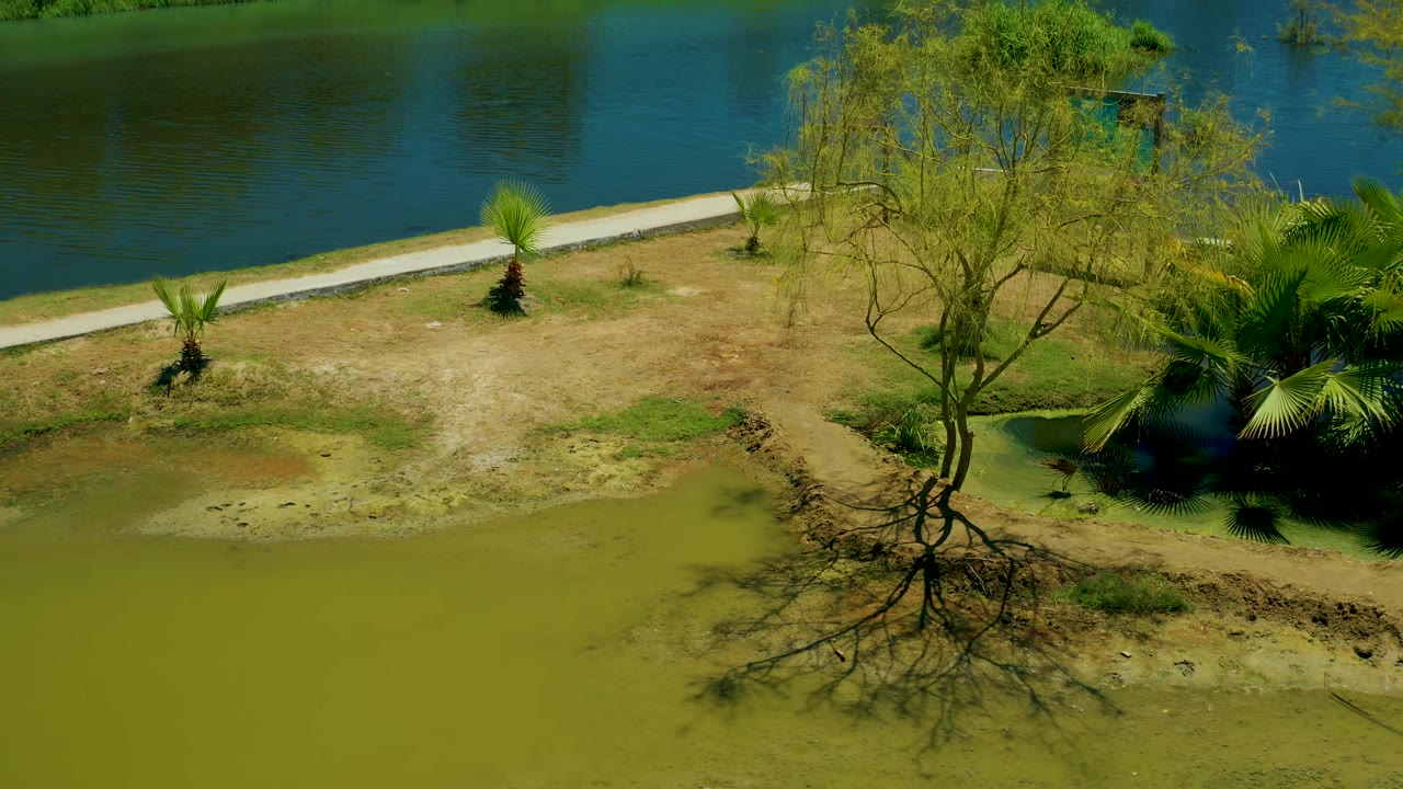 Frame at two seconds from the San Jose Del Cabo Estuary with the muddy shore spread across the foreground, a small palm by the path, trees to the right, and no visible people.