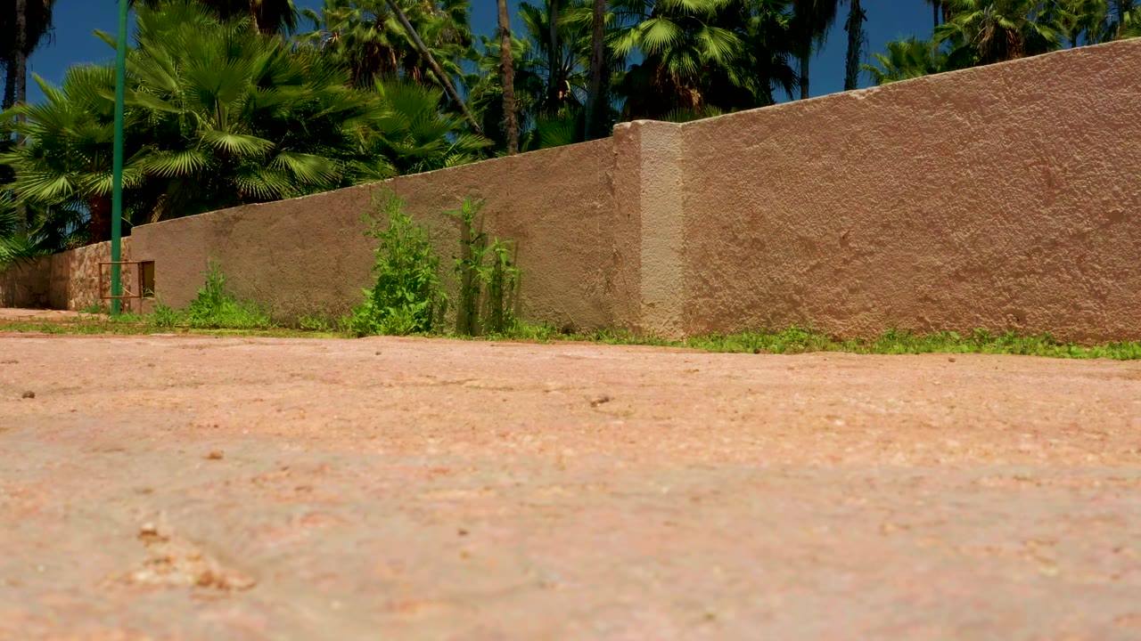 At 0:01, the San Jose del Cabo Estuary frame keeps the red path large in front, with weeds at the wall base, palms rising behind the tan wall, and no visible people.