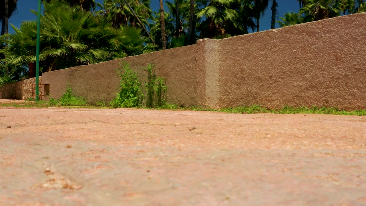 At 0:02, the view remains low along the red path, with the high tan wall cutting across the frame, dense palms above, clear sky, and no visible people.