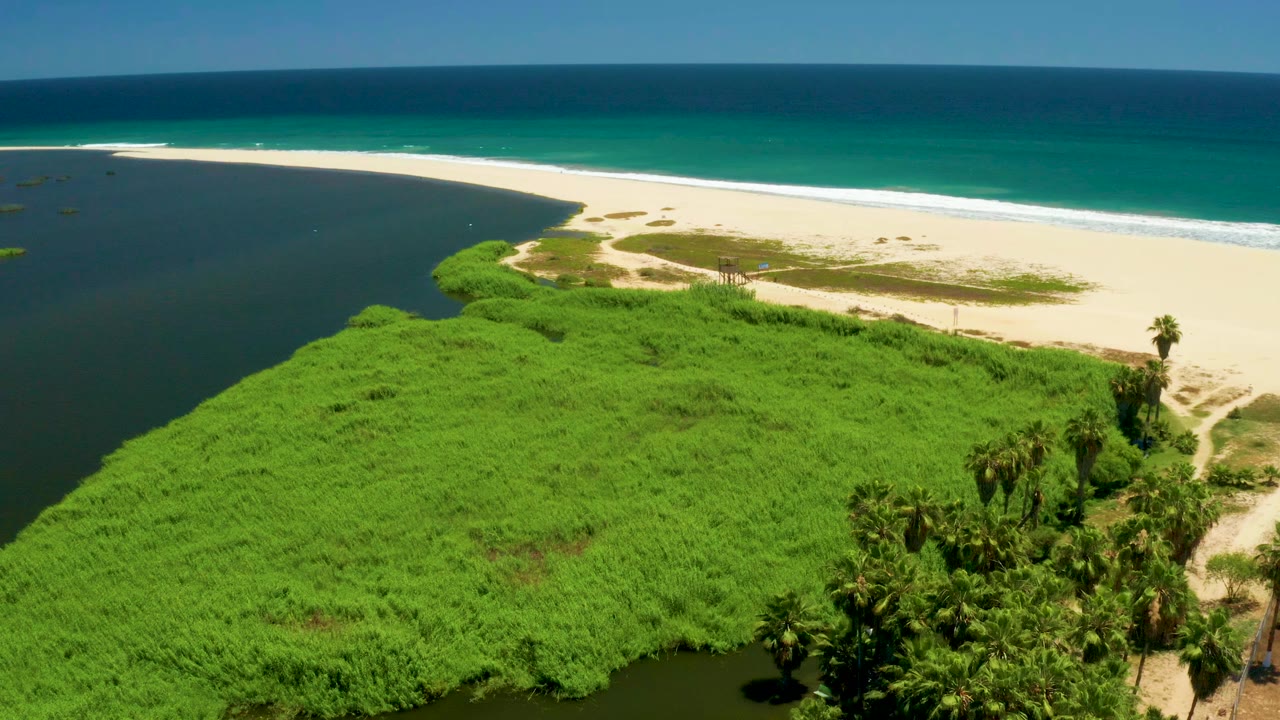 Aerial view of green estuary vegetation beside dark river water, pale sand, and turquoise ocean.