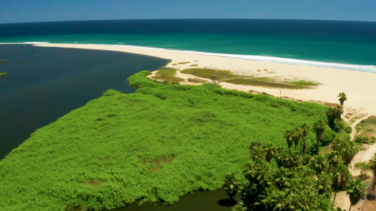 Aerial view at San Jose del Cabo Estuary with the green riverbank filling the lower frame, dark water curving along the left, sand across the center, turquoise ocean beyond, and no visible people.