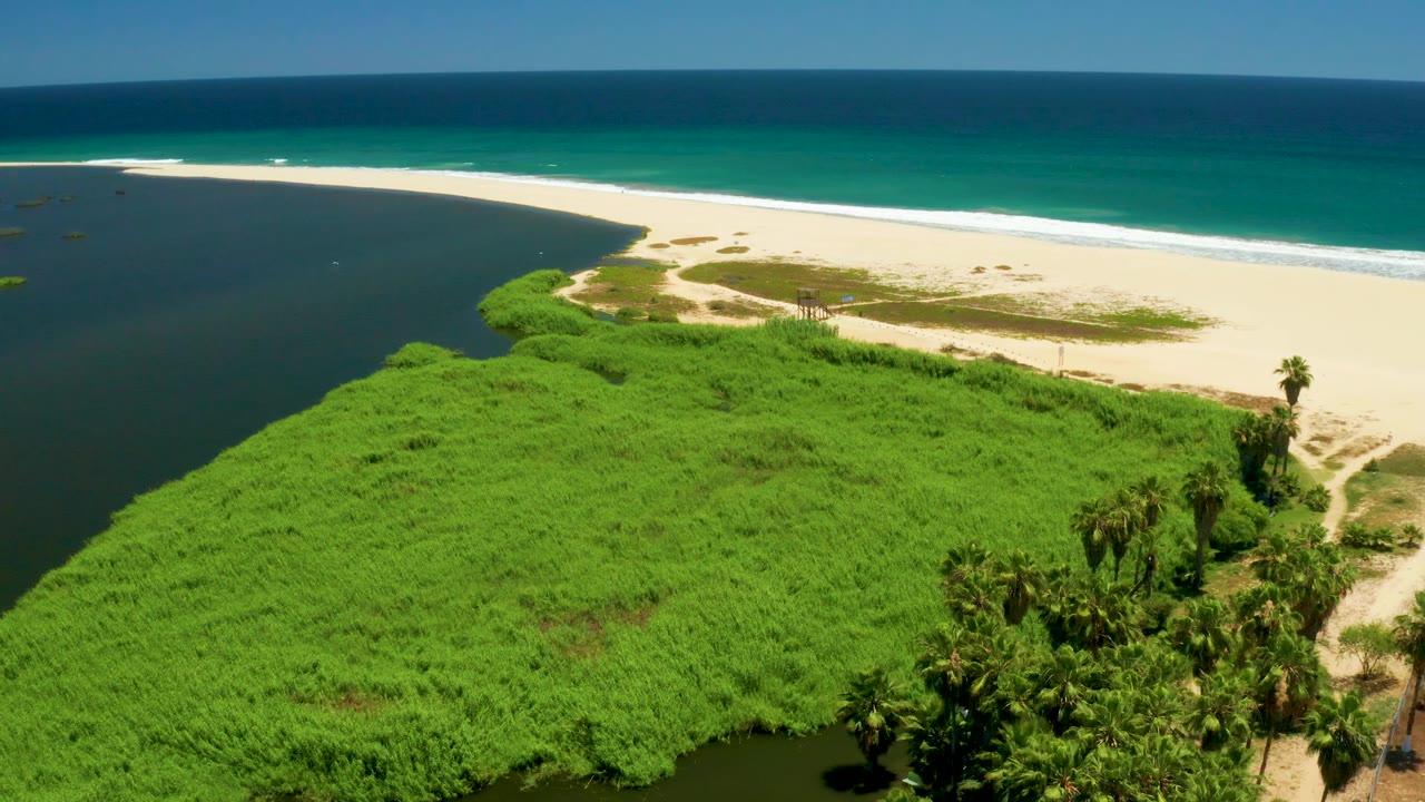 A high coastal frame over San Jose del Cabo Estuary shows the vegetation mass broad across the foreground, the river on the left, a sandy spit near center, turquoise ocean, white waves, and no visible people.