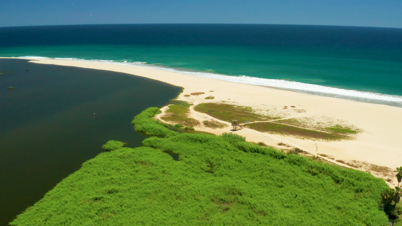 Aerial view of green estuary vegetation, dark inlet water, sandy beach, and turquoise ocean surf.