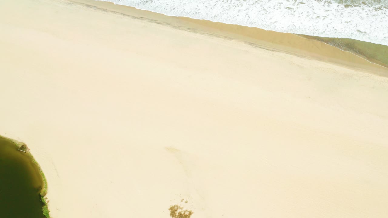 Aerial frame of the San Jose Del Cabo Estuary shoreline with pale sand, a thin band of breaking surf near the top, greenery at the lower right edge, and no visible people.