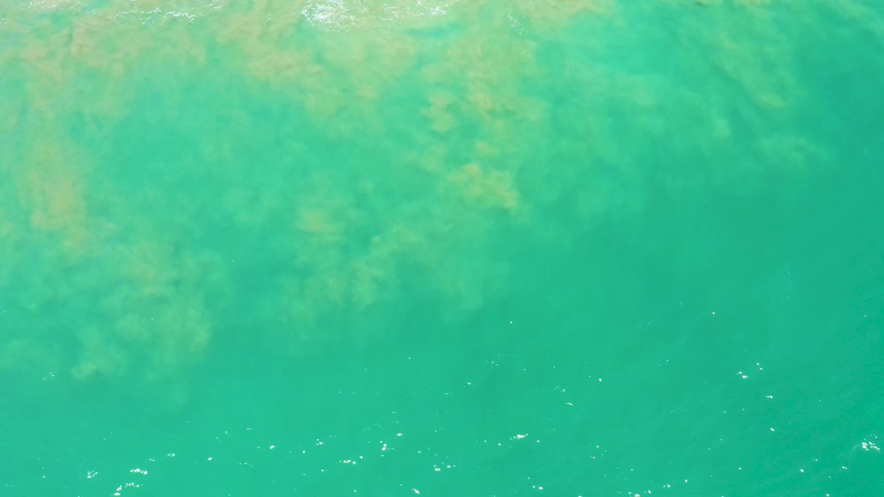 Overhead view of turquoise ocean water at San Jose Del Cabo Estuary with pale seaweed patches near the upper frame, scattered foam flecks below, and no visible people.