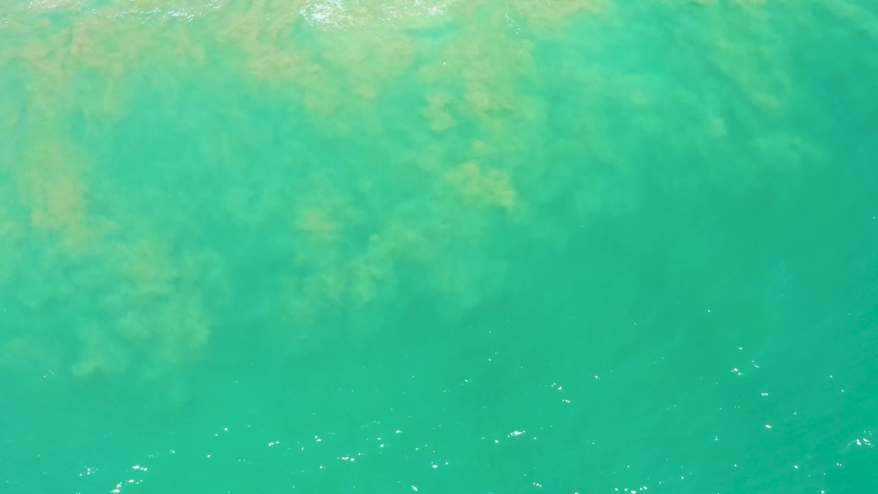 Overhead San Jose Del Cabo Estuary ocean frame showing diffuse green seaweed beneath or on the surface, tiny white bubbles across the lower water, and no visible people.
