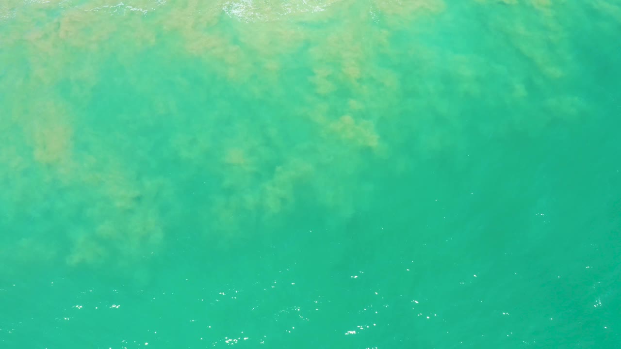 Straight-down view of turquoise-green ocean at San Jose Del Cabo Estuary with pale algae or seaweed clouding the upper water, scattered foam specks, and no visible people.