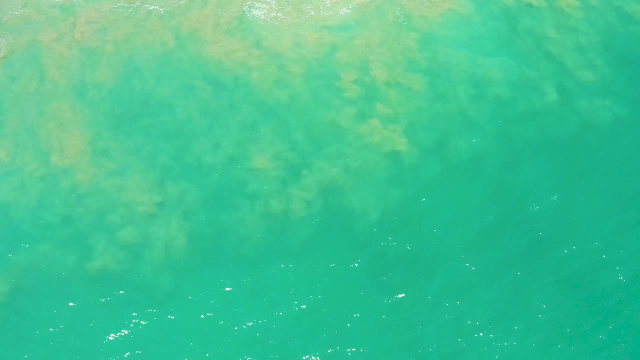 Overhead turquoise ocean with soft green seaweed areas and small foam bubbles.
