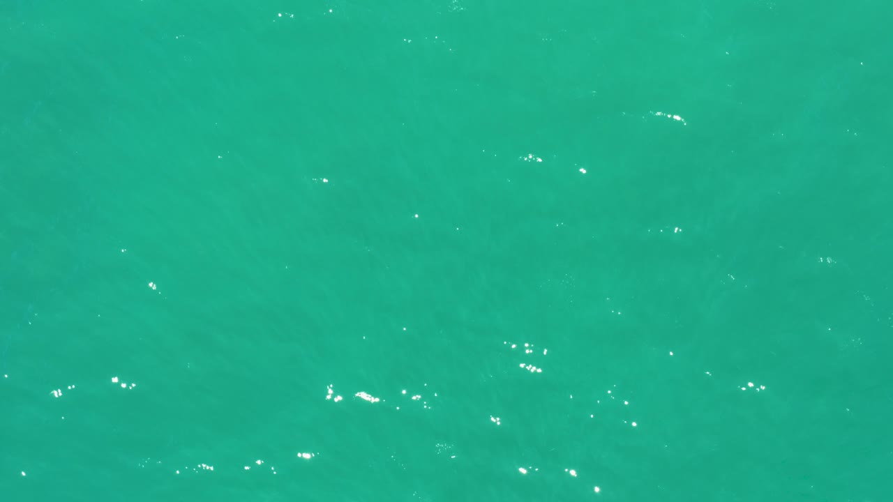 Green-blue ocean water fills the frame at San Jose Del Cabo Estuary, with subtle surface texture and a few small white highlights, no visible people.