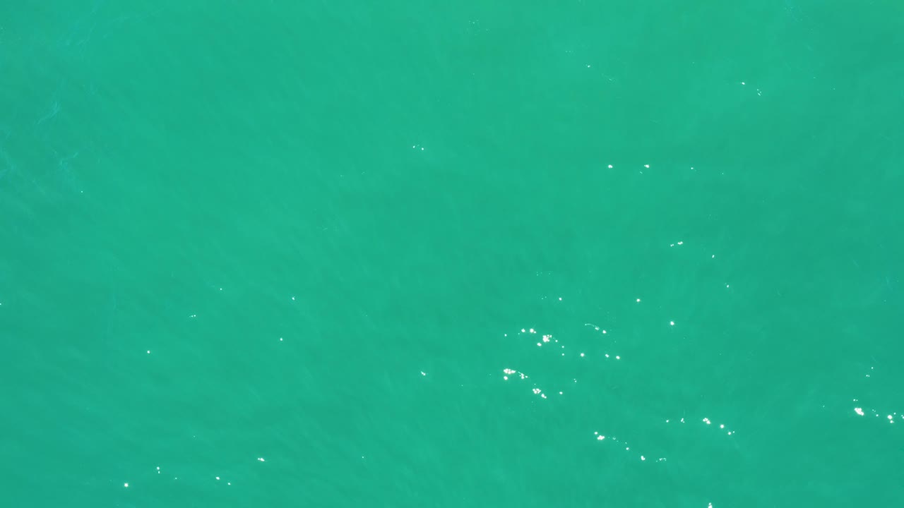 At 0:01, the San Jose Del Cabo Estuary water remains a full-frame blue-green surface, with ripple bands and a few brighter glints shifting across the upper area, and no visible people.