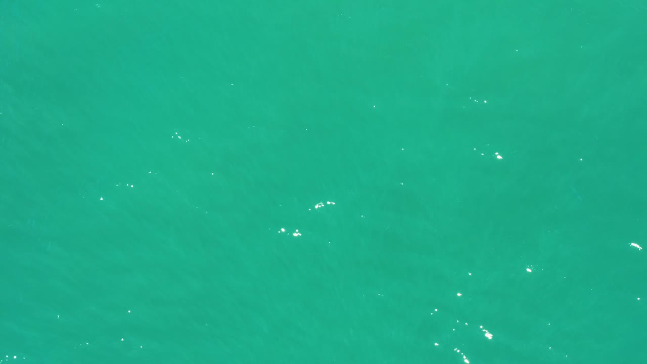 At 0:02, turquoise water in San Jose Del Cabo Estuary shows faint darker underwater tones beneath the rippled surface, with small white sparkle points and no visible people.