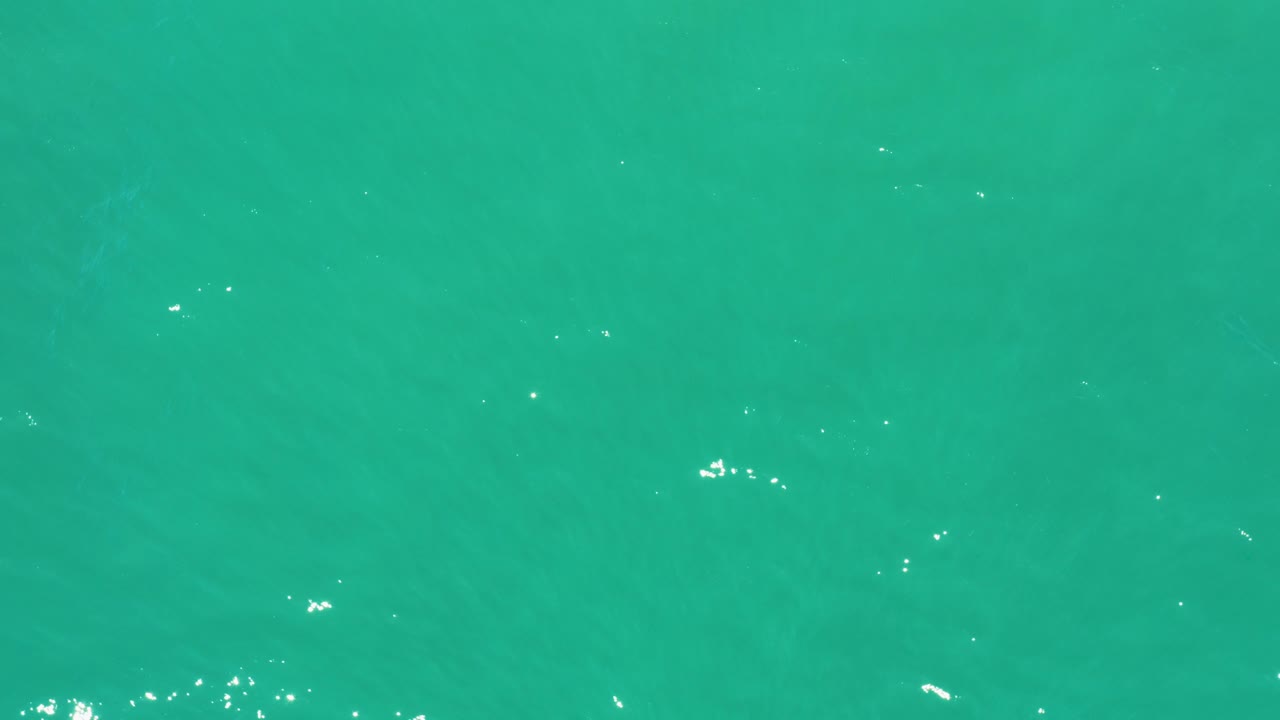 At 0:03, the San Jose Del Cabo Estuary surface is an even turquoise field with sparse sunlight flecks and soft rippling, with no visible people, boats, or shoreline.