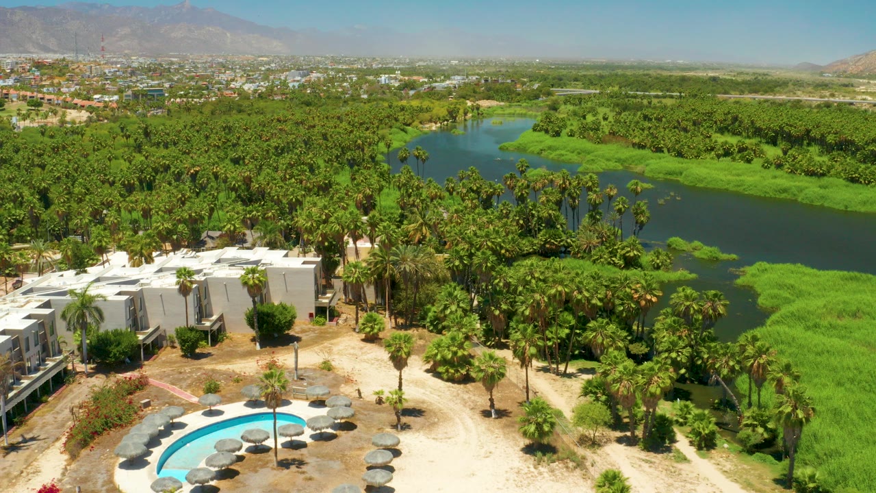 Aerial frame over the San Jose Del Cabo Estuary area showing white resort buildings, a curved pool, dense palms, green lagoon water, distant town blocks, hills, and no visible people.