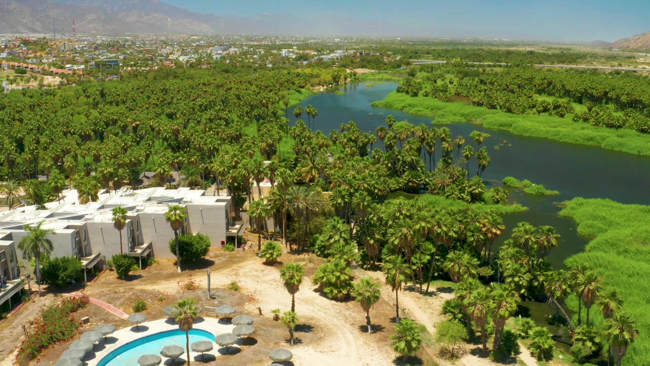 San Jose Del Cabo Estuary aerial with the pool partly cropped at the bottom, white resort structures at left, palm trees across the middle, green water to the right, and no visible people.