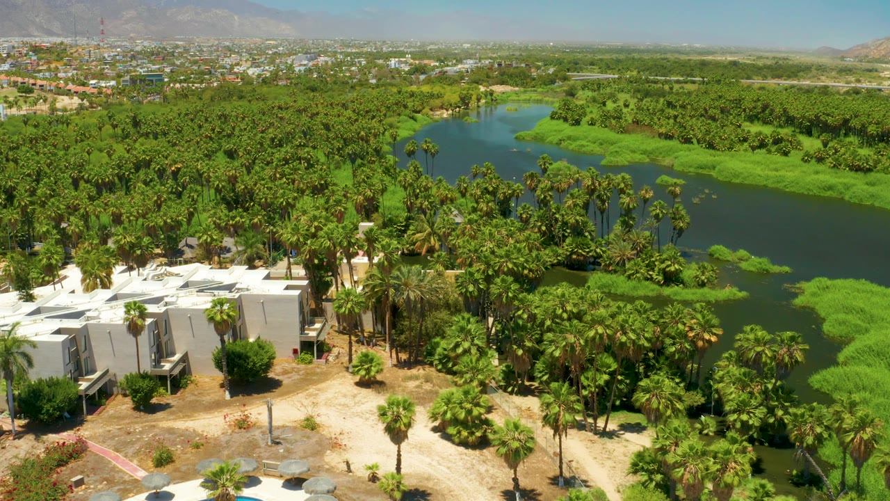 White buildings and palms beside a dark green lagoon in an aerial view.