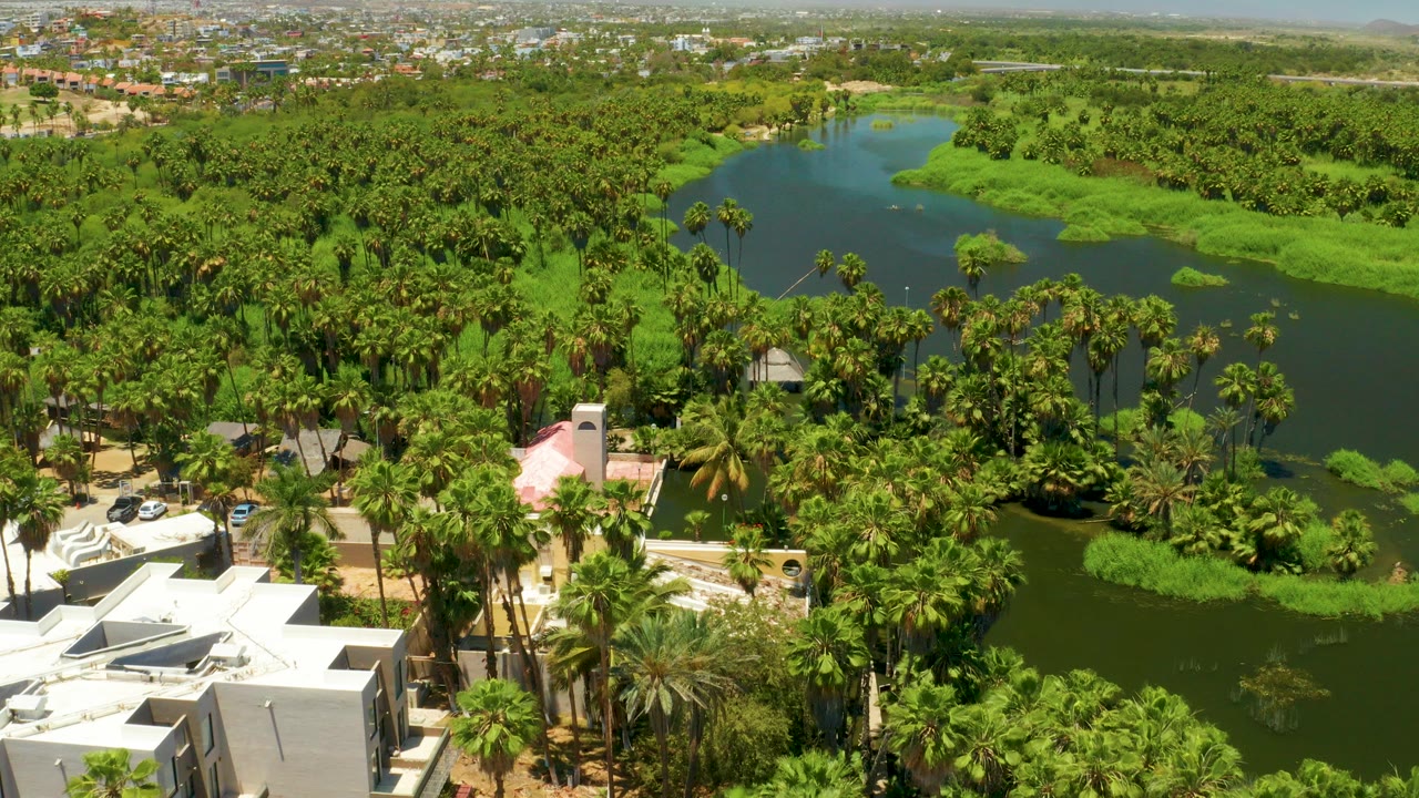 Aerial frame of the San Jose Del Cabo Estuary with green lake water behind dense palms, white buildings and parked cars at the lower edge, and no visible people.