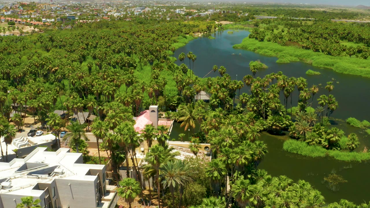 Drone view of green lagoon water surrounded by palms and low buildings.