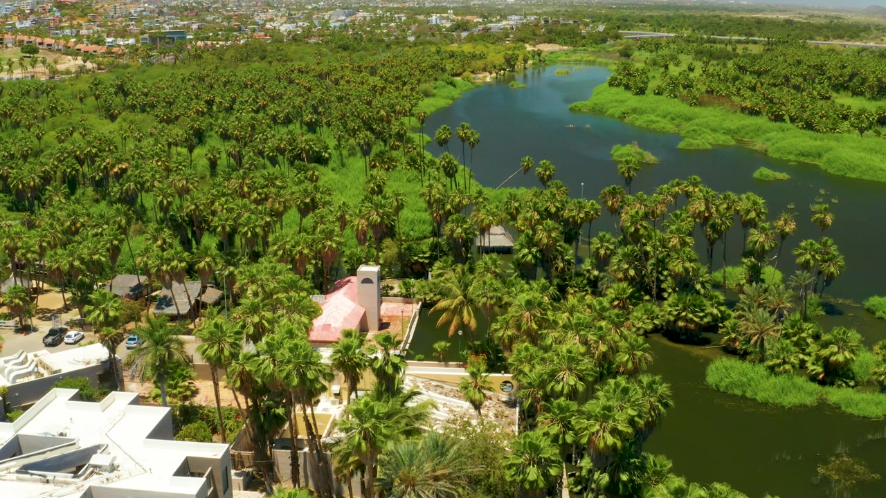High aerial frame of the San Jose Del Cabo Estuary showing dark green water, bright shoreline vegetation, a pink-roofed building near the bottom, road traffic area, and no visible people.