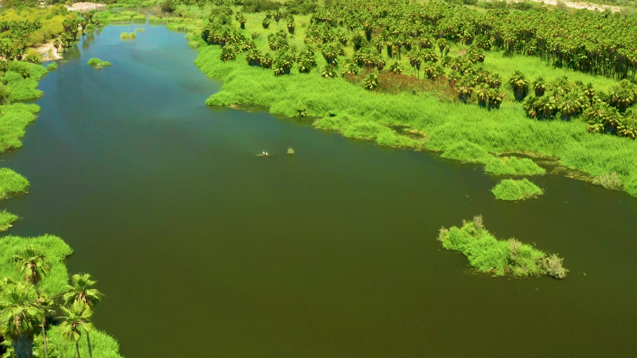 Aerial frame over the San Jose del Cabo Estuary showing small boats near midframe, green water, thick shoreline plants, palms, and no visible people.