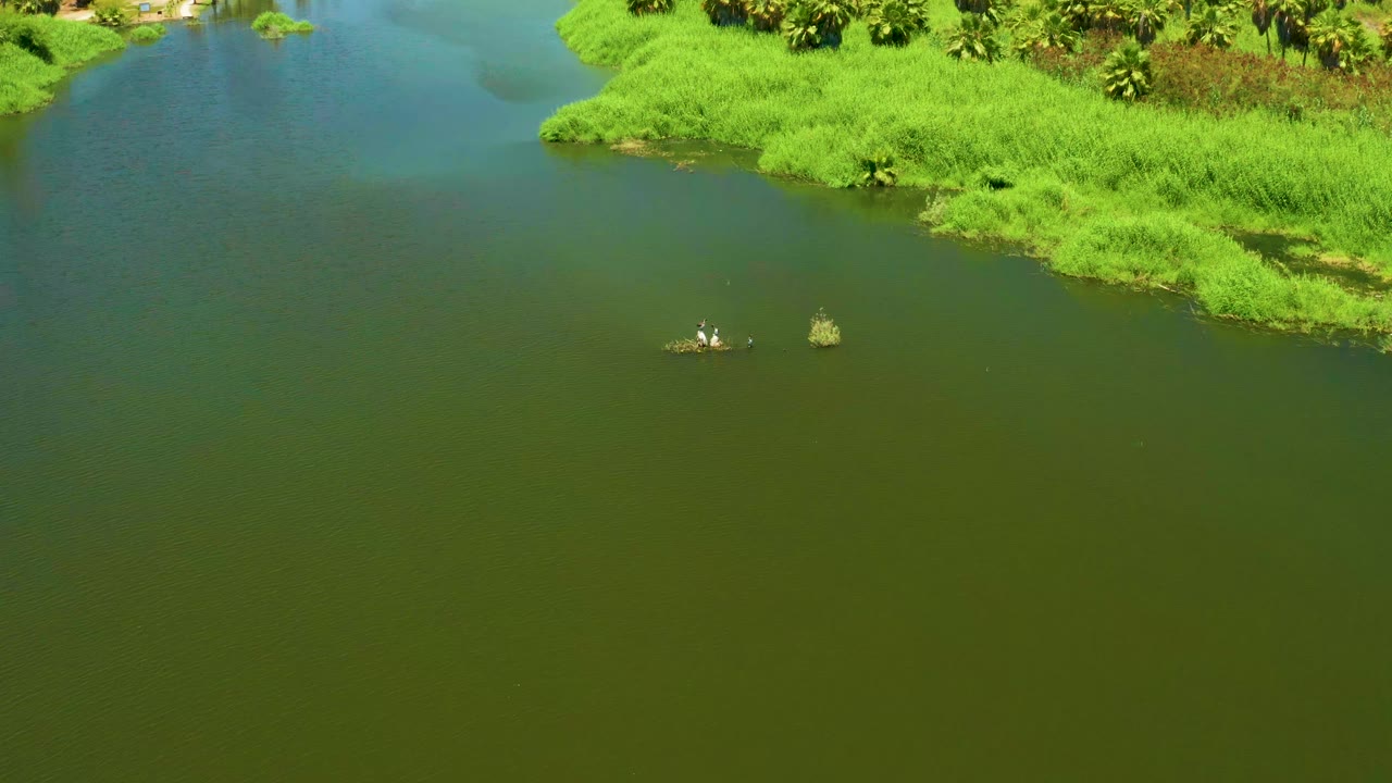 Small boat on green water below a bright vegetated riverbank.