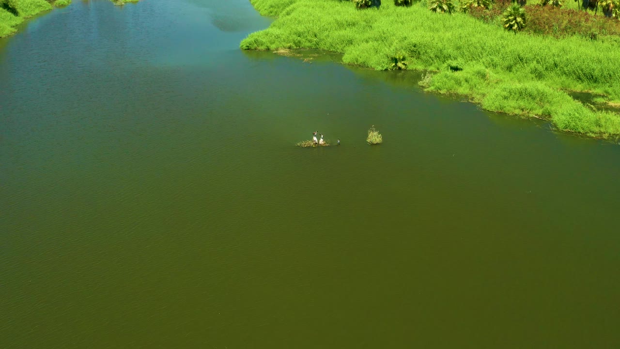 The San Jose del Cabo Estuary appears from above with broad green water, a small boat carrying people near the center, and reed clumps separated from the main bank.