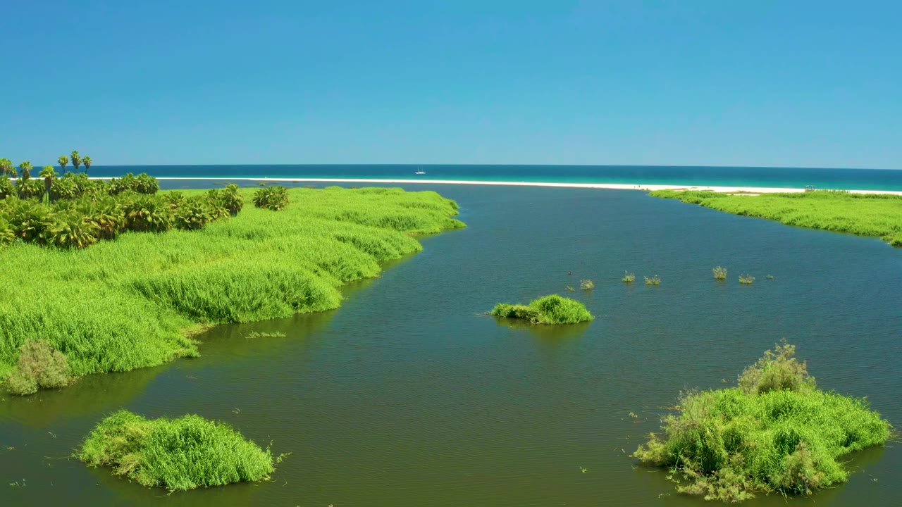 Green estuary channel with small vegetation islands and distant ocean surf.