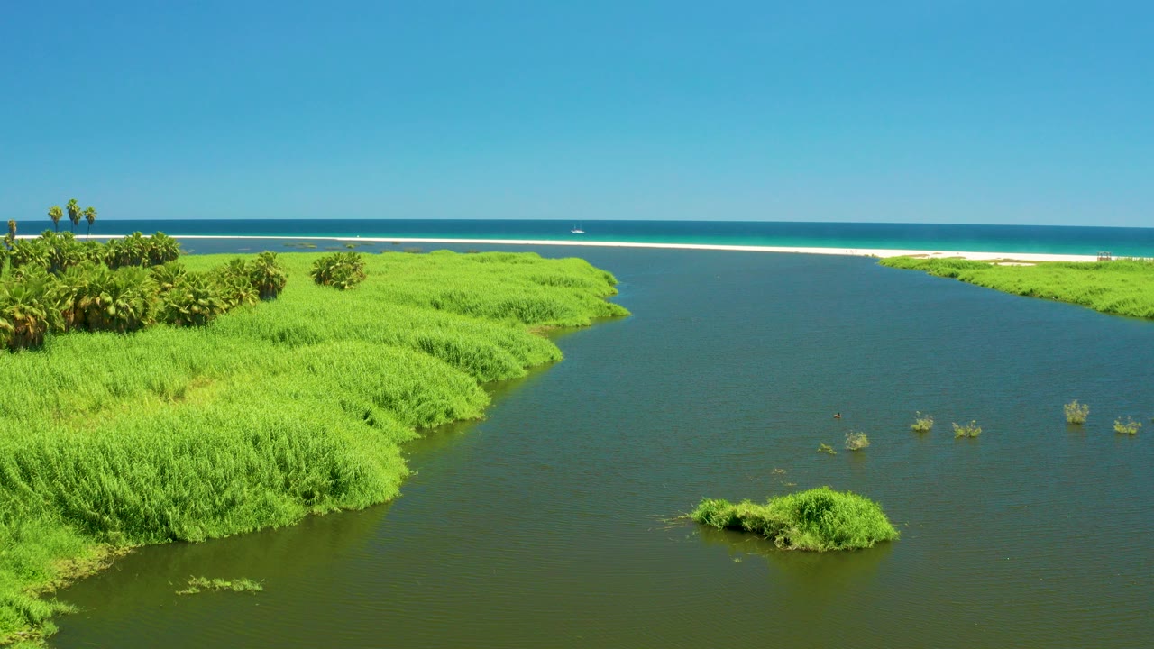 Aerial frame of the San Jose del Cabo Estuary with dense green marsh on the left, dark water on the right, a sandy ocean edge in back, and no visible people.