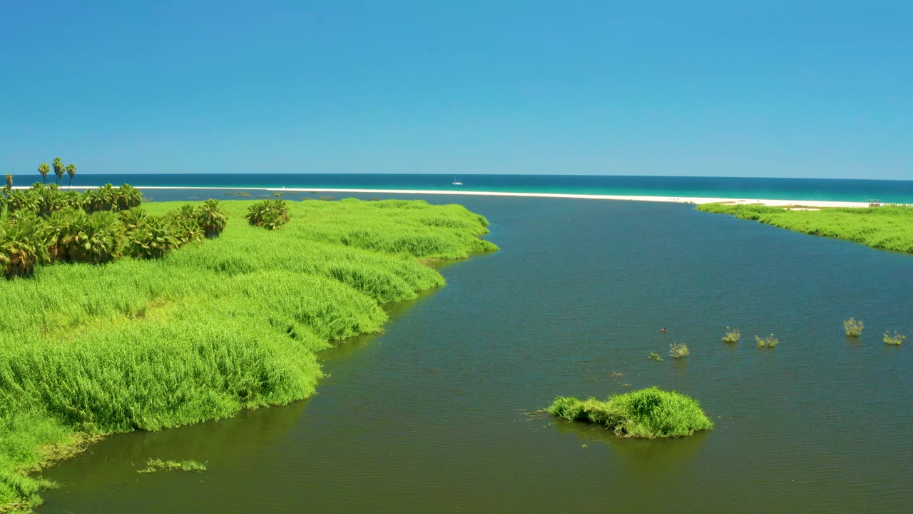 Aerial view over the San Jose del Cabo Estuary as thick wetland grass fills the left bank, a dark channel runs through the center, and the ocean horizon sits behind it with no visible people.