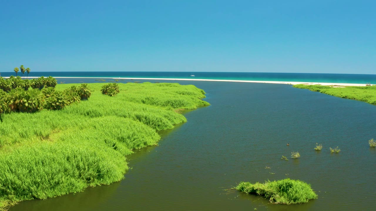 The San Jose del Cabo Estuary is seen from above with palms near the left bank, bright green marsh wrapping the water, a pale sandbar across the background, and no visible people.