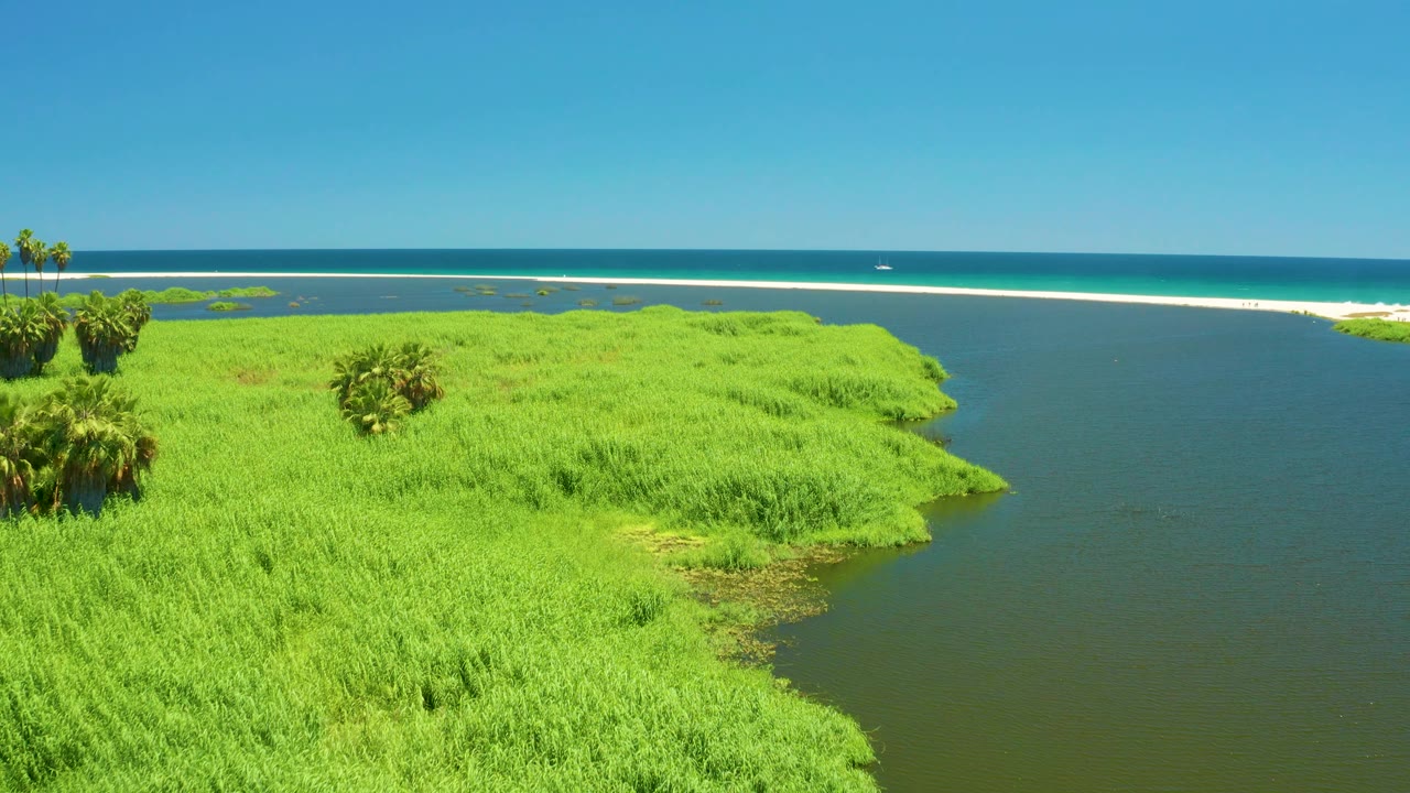 San Jose Del Cabo Estuary appears from above with palm clusters left of center, a broad carpet of marsh grass, dark water on the right, distant sandbar, ocean, and no visible people.