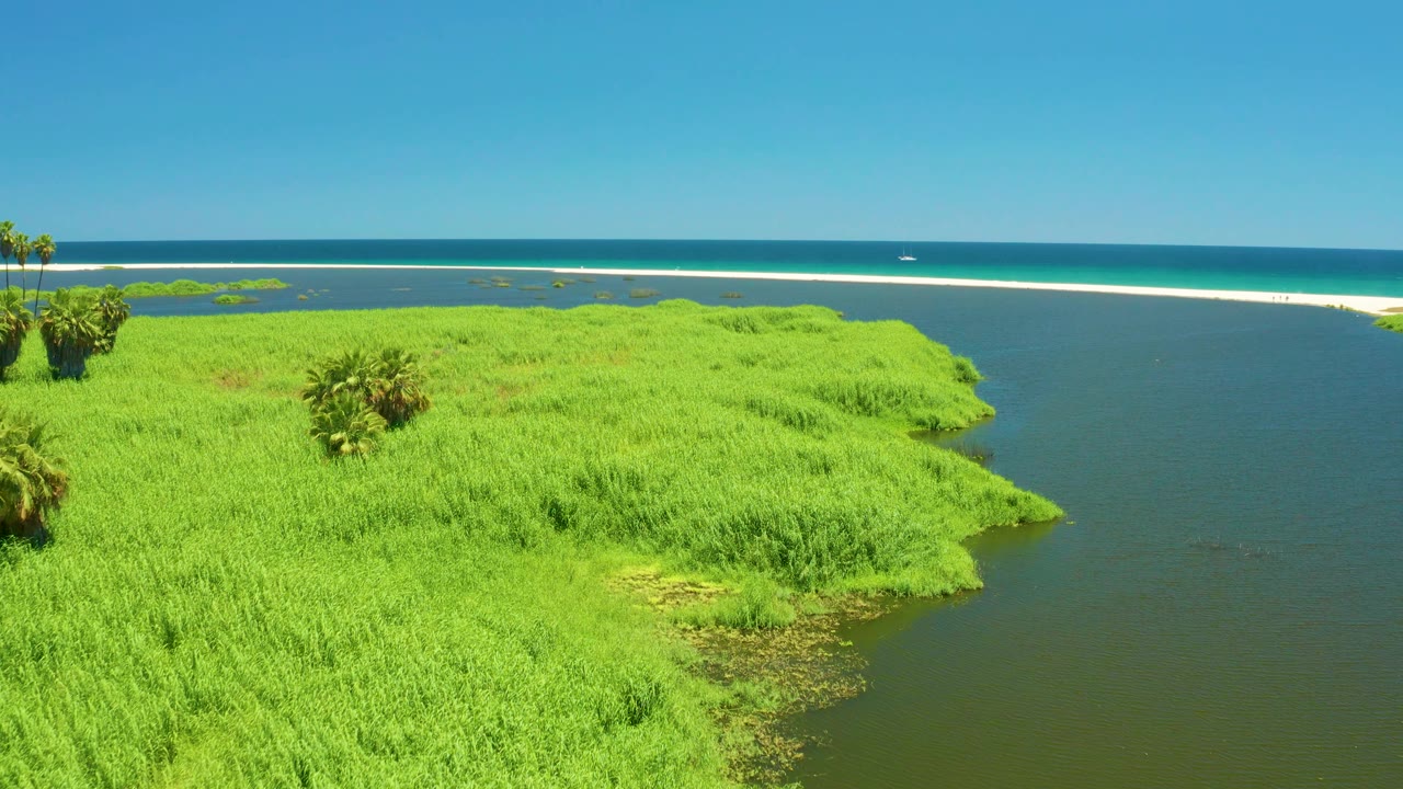 Wide aerial frame of San Jose Del Cabo Estuary with bright vegetation across the lower frame, estuary water on the right, a white sandbar near the ocean, and no visible people.