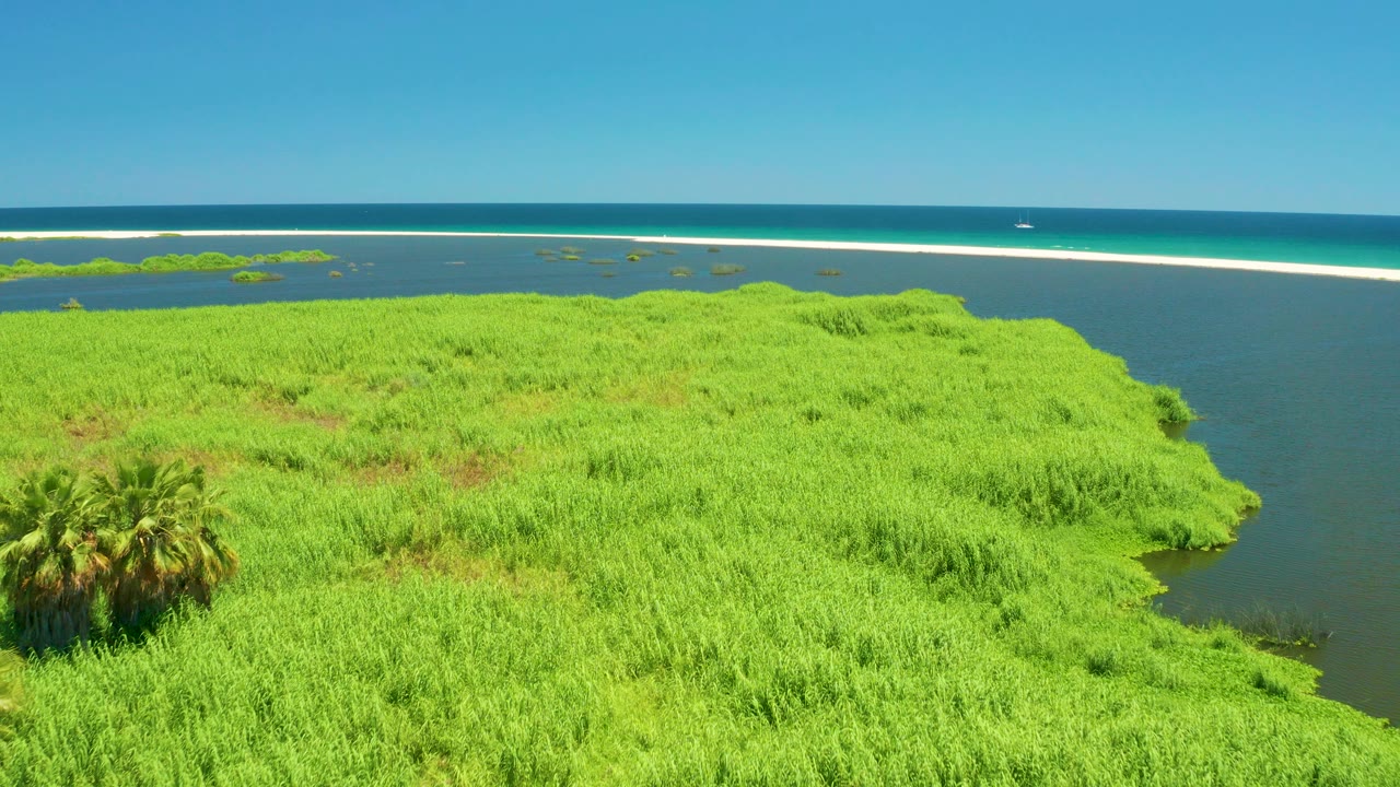 Aerial view of the San Jose Del Cabo Estuary with bright green grasses, a palm cluster at lower left, lagoon water on both sides, a white sandbar, blue ocean, and no visible people.