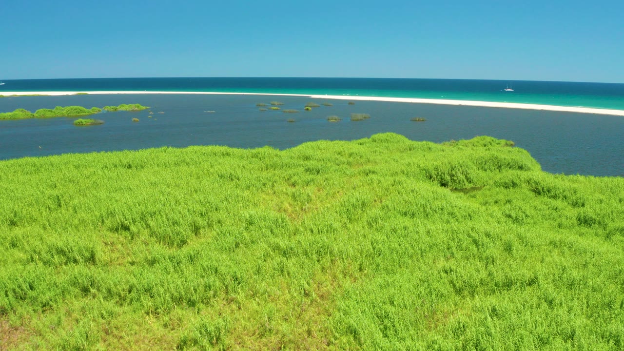 Opening aerial frame over San Jose Del Cabo Estuary with dense green grasses in the foreground, lagoon water, a thin white sandbar, deep blue ocean, and no visible people.