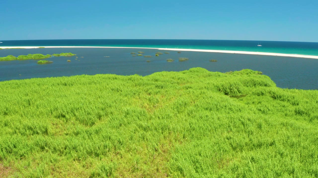 Green estuary grasses below dark lagoon water and a long white sandbar.