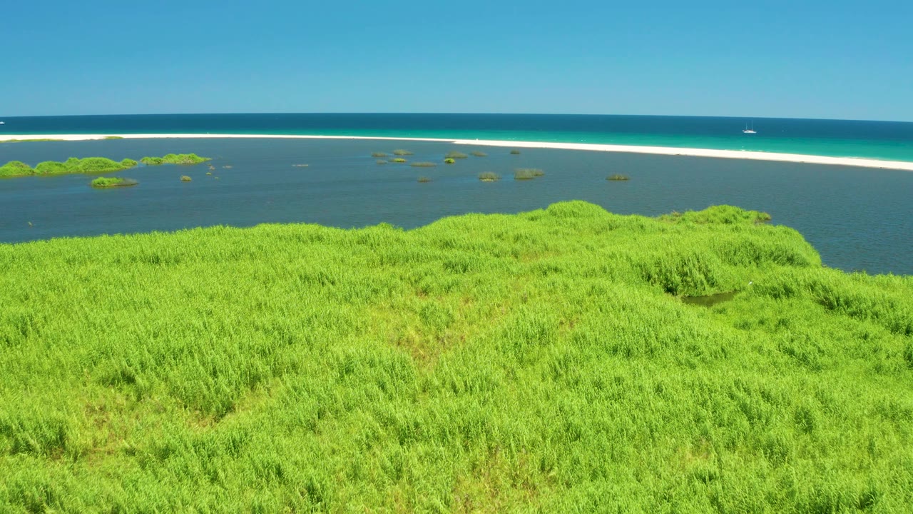 Aerial view at San Jose Del Cabo Estuary showing more foreground grass mass, scattered lagoon vegetation, a narrow white sandbar, calm turquoise water, blue ocean, and no visible people.
