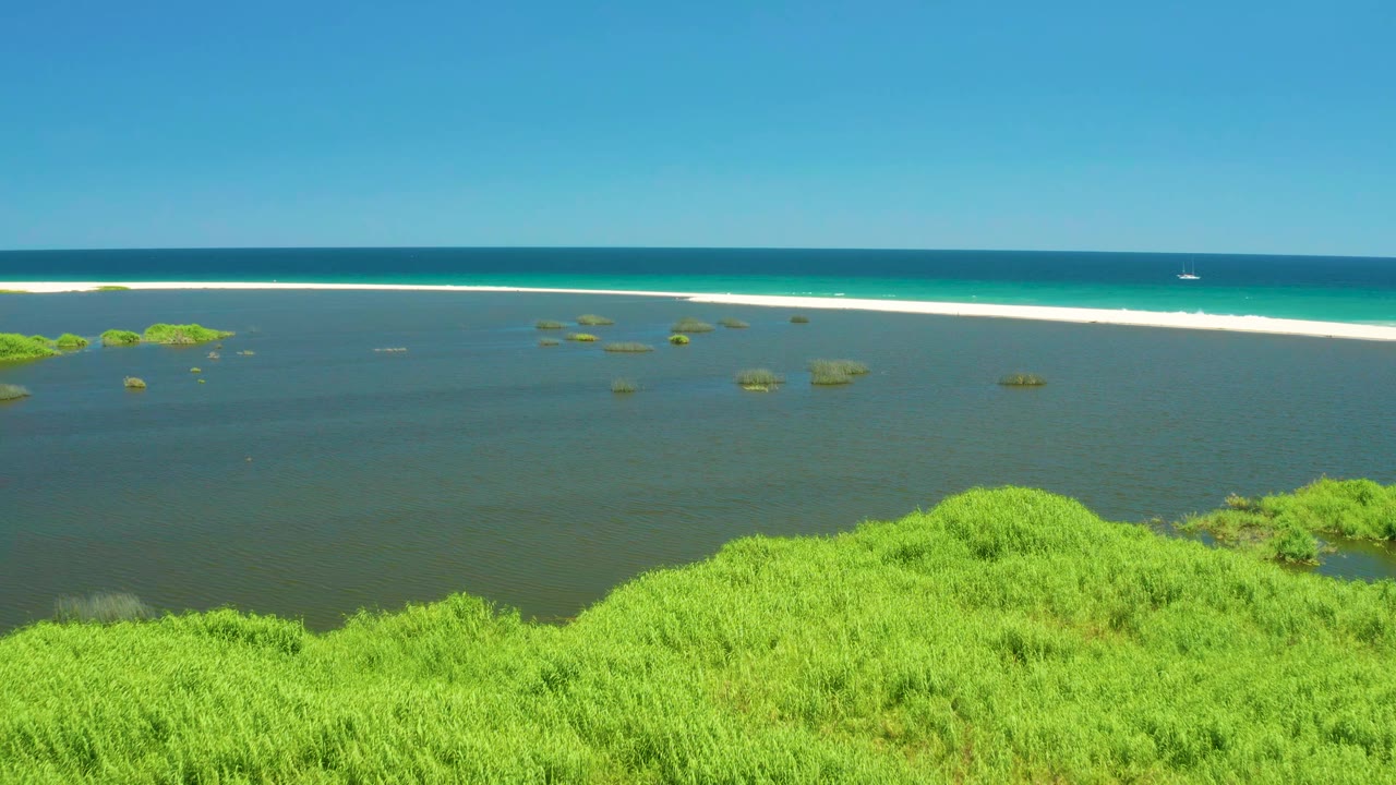 Aerial view at 0:01 in San Jose Del Cabo Estuary showing dense green vegetation at the bottom edge, scattered lagoon plants, a long white sandy shore, blue ocean, and no visible people.