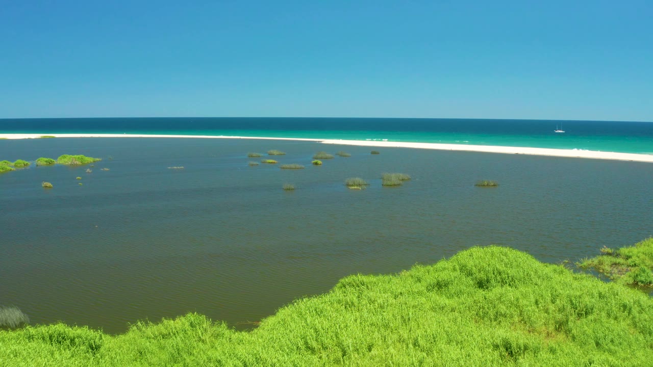 At 0:02, the San Jose Del Cabo Estuary lagoon fills most of the frame with aquatic vegetation clusters, a white sand bar across the upper third, blue ocean beyond, and no visible people.