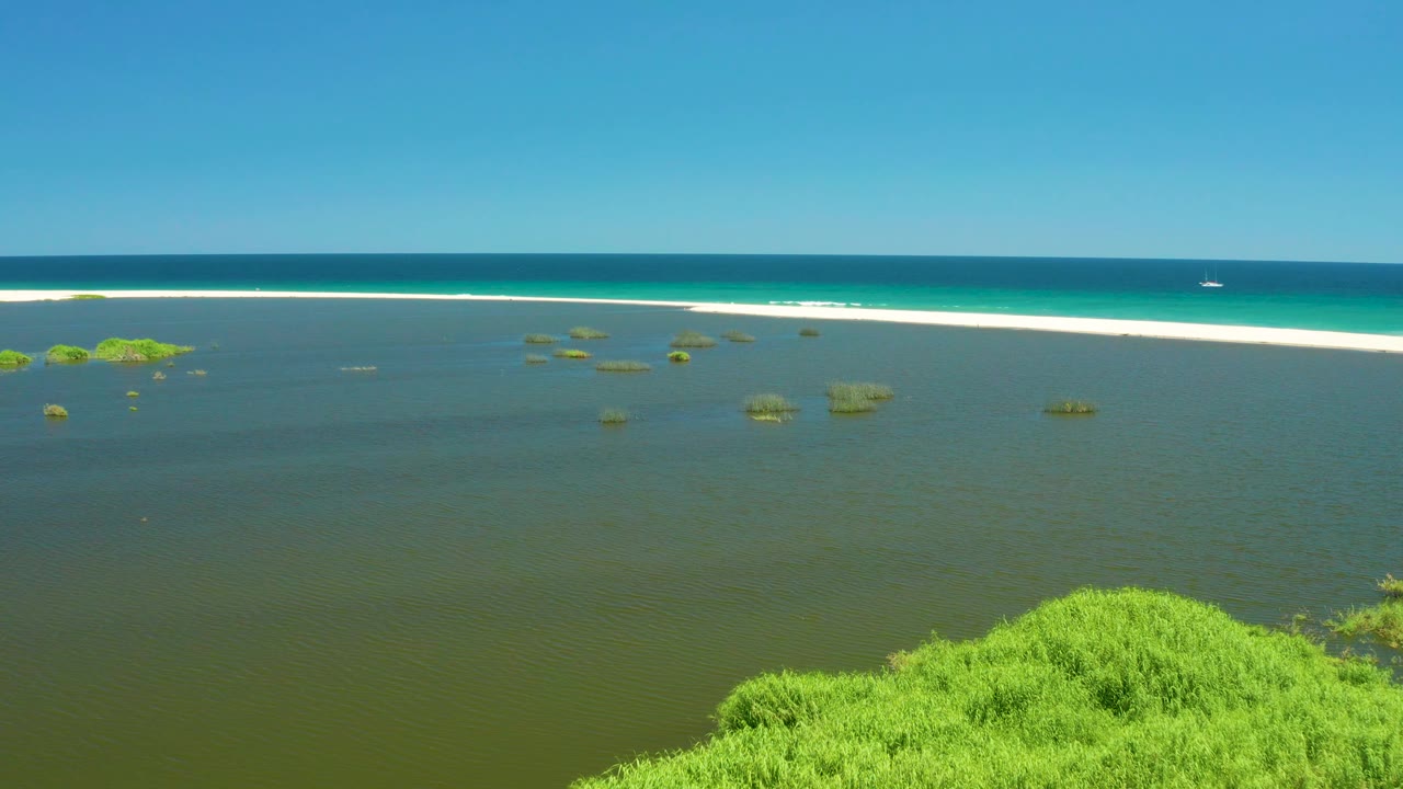 Aerial frame at 0:03 over San Jose Del Cabo Estuary with green vegetation near the lower edge, dark shallow lagoon water, plant patches, a pale sandy beach, ocean, and no visible people.