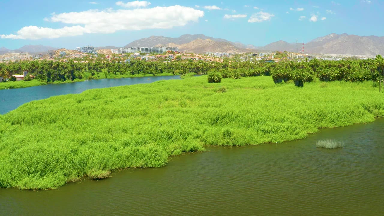 At 0:01, the San Jose del Cabo Estuary frame shows the river channel along the left and lower edge, dense green grass across the island, a line of trees, distant buildings, mountains, clouds, and no visible people.