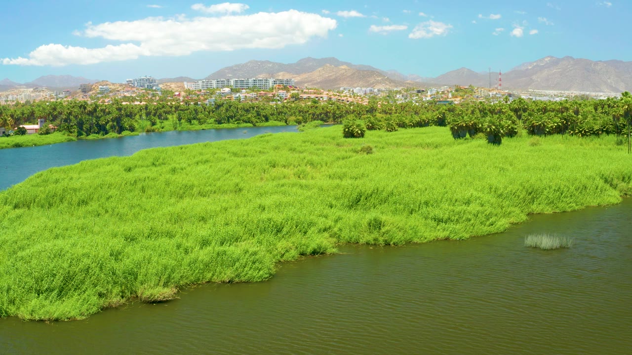 At 0:03, the San Jose del Cabo Estuary view includes darker river water at the bottom, a broad green marsh island, a blue river bend to the left, tree cover, distant urban buildings, mountain ridges, and no visible people.