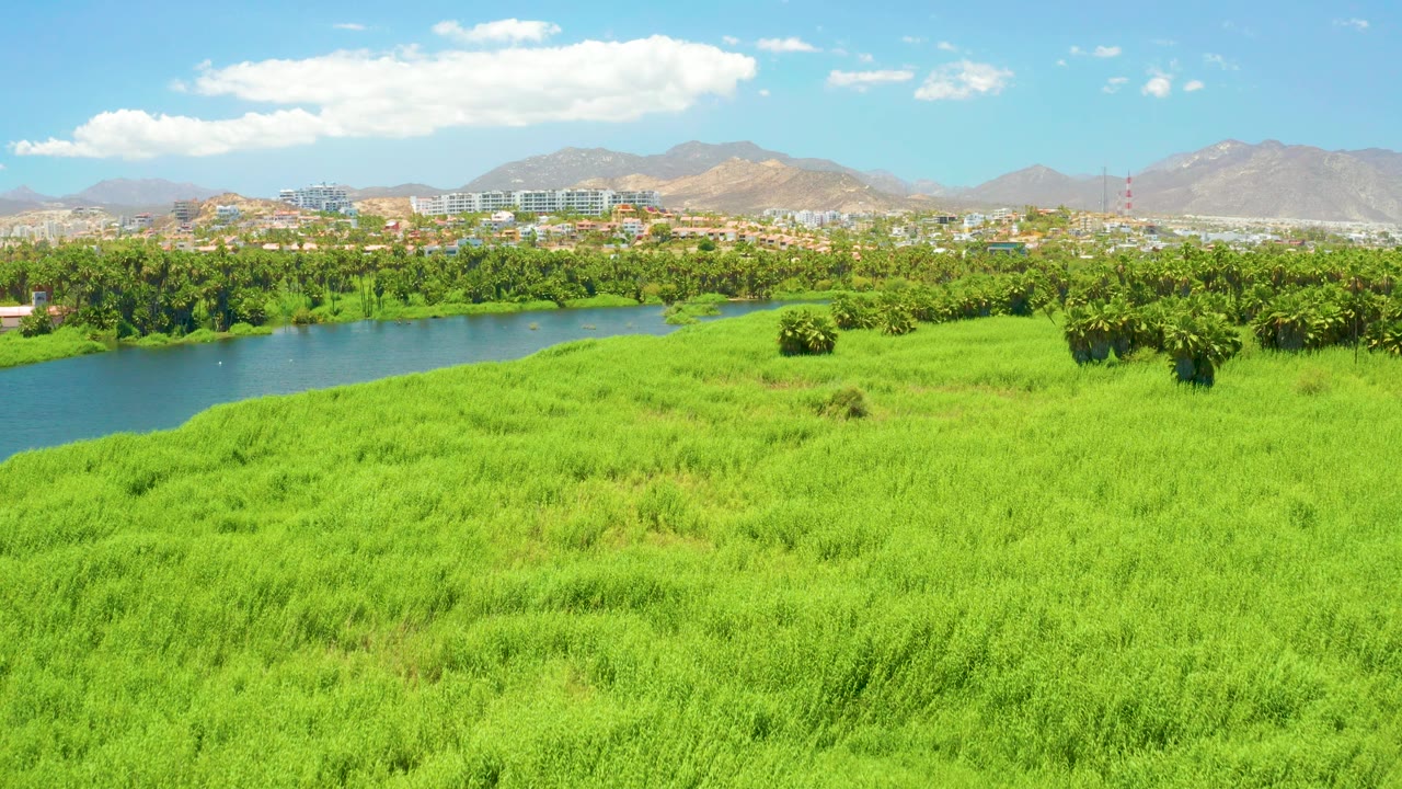 Opening aerial frame over San Jose Del Cabo Estuary, with bright grass in front, a river at left, palms and trees across the middle, distant buildings, mountains, scattered clouds, and no visible people.
