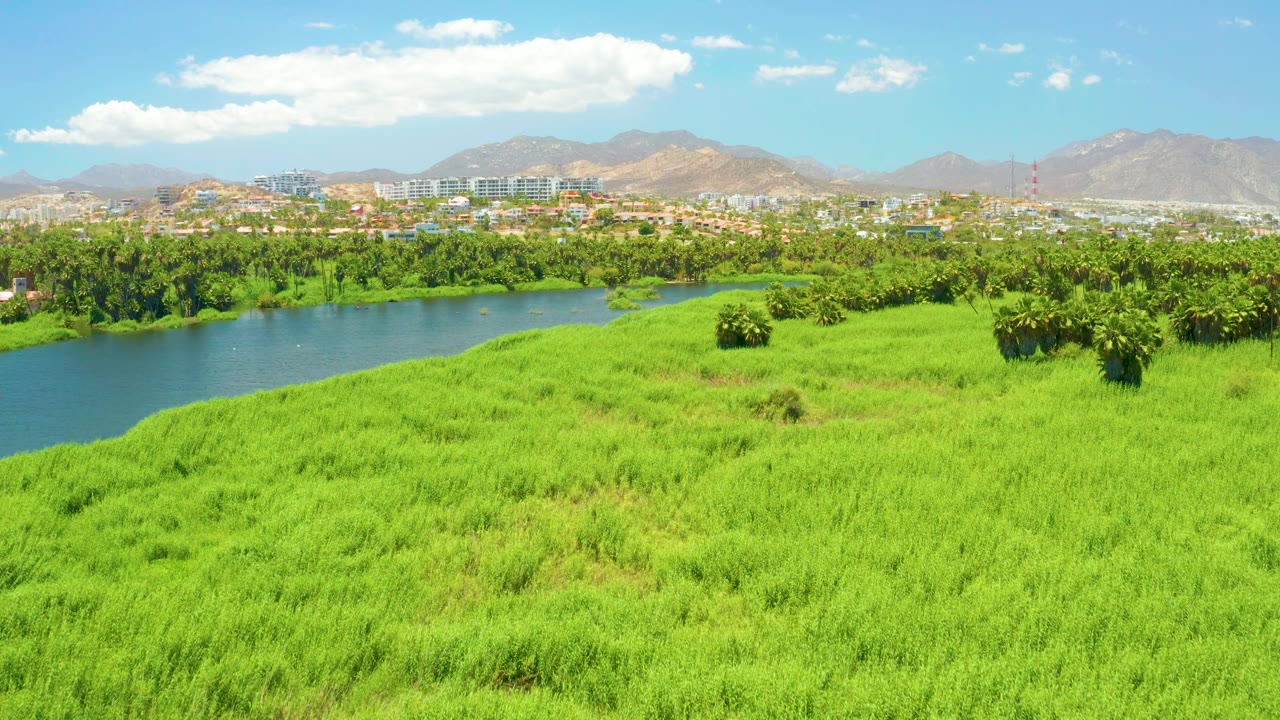 Aerial frame from San Jose Del Cabo Estuary with a green field dominating the foreground, a blue river bend on the left, palms and trees through the middle, buildings below mountains, scattered clouds, and no visible people.