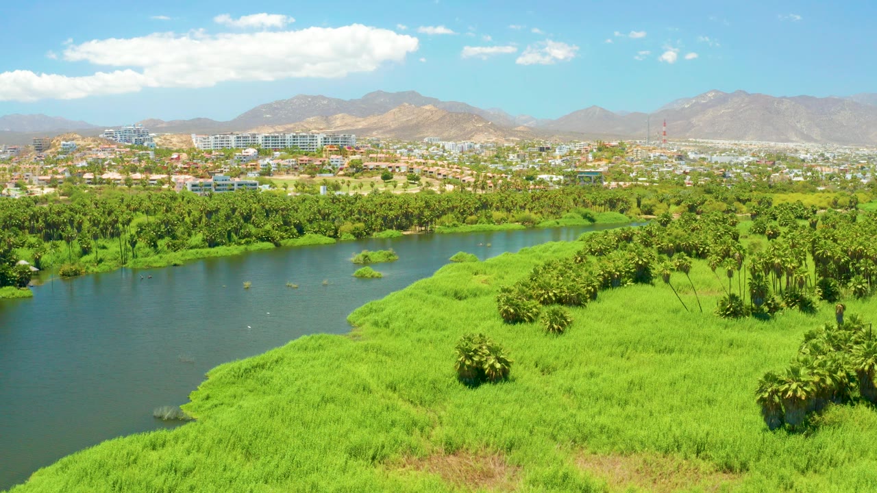 Opening aerial view of San Jose Del Cabo Estuary with dark green water at left, vivid grassy banks in the foreground, distant city buildings, mountains, blue sky, and no visible people.