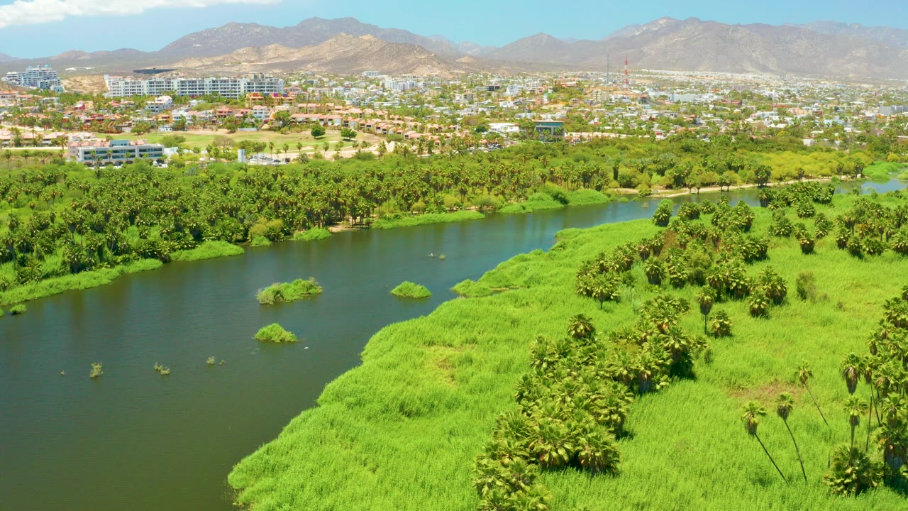 Opening aerial frame over San Jose Del Cabo Estuary, with dark green water at left, bright marsh vegetation at right, city buildings and mountains in the distance, and no visible people.