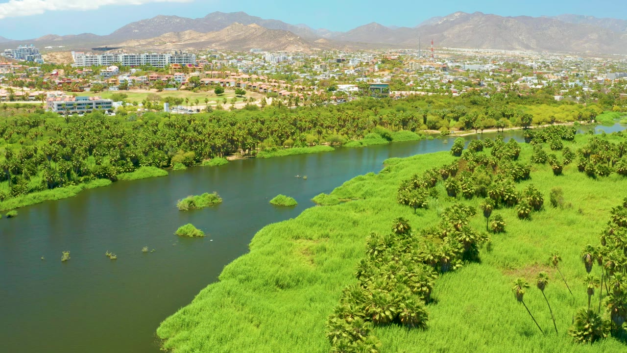 River channel and bright green vegetation with urban buildings along the horizon.