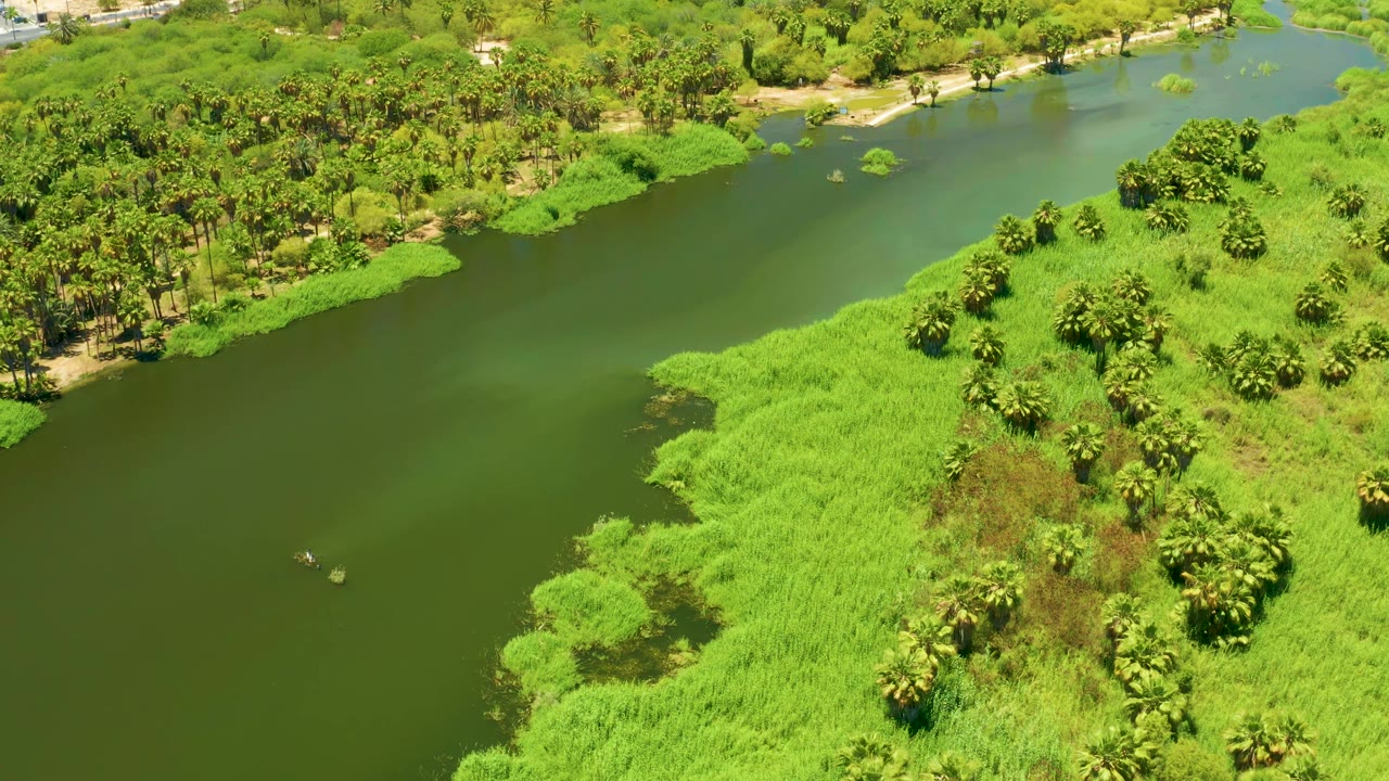 Aerial view over San Jose Del Cabo Estuary with a broad green water surface on the left and a thick grassy peninsula with scattered trees on the right, with no visible people.