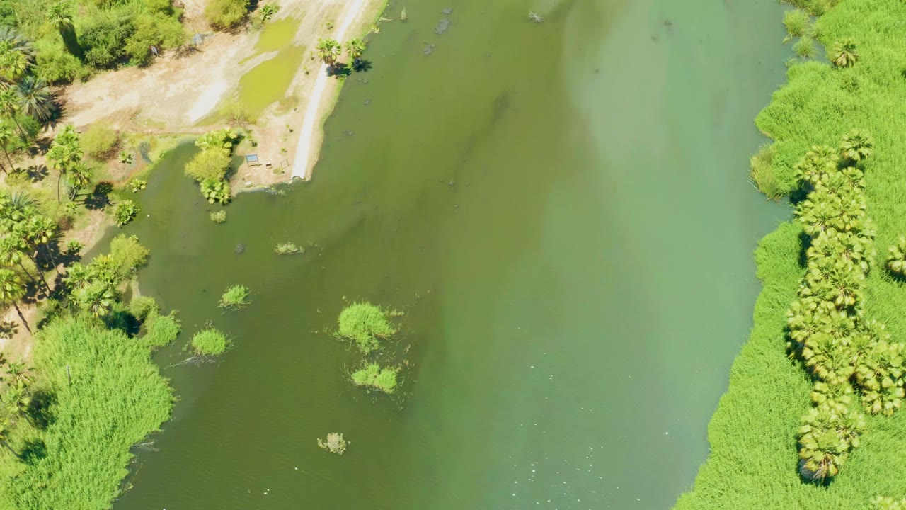 Aerial river channel beside bright green vegetation.